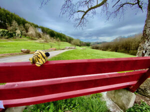 Beispielfoto: Stofftier auf Parkbank
